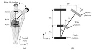 Los planes para un movimiento de flexión lateral